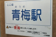 青海駅と青梅駅を間違える奴って実在すんの？ｗｗｗｗｗｗｗｗｗ