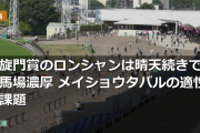 凱旋門賞のロンシャンは晴天続きで良馬場濃厚 メイショウタバルの適性と課題