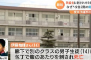 【正論】武井壮さん、イジメ被害者に対しとんでもない正論を言ってしまう