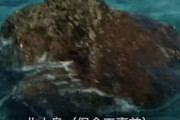 【画像】外国人「沖ノ鳥島って岩やん」日本「沖ノ鳥島は島！」
