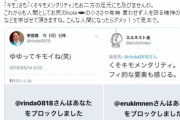 嫌われる理由も知っとくといいぞ　～　在日　「Twitterやり始めて在日コリアンがすごく嫌われてるの知ってほんとビックリとショック」