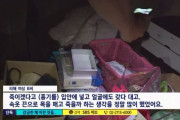 【韓国】「売春女性に首輪をつけて監禁、排泄物を食べさせる」･･･恐怖の事業主