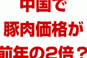 中国でスタグフレーションが発生する恐れ！？　豚肉の価格が100%暴騰？どうなるの？