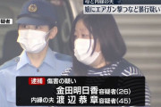 【画像あり】娘をエアガンで暴行した26歳の若ママ、逮捕される