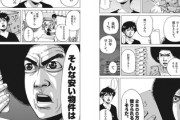 【分譲】なんだよこの漫画ｗｗｗ【注意】