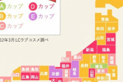 【朗報】巨胸女子、全国的に増えるｗｗｗｗｗｗｗｗｗｗ