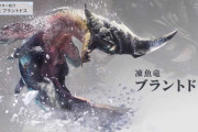 【MHWI】ブラントドスとか言う武器だけが最強のモンスター【アイスボーン】