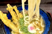 「資さんうどん」の方が「丸亀製麺」より普通に美味しくない？🍜🥺