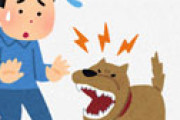 【画像】 ラッパーさん、犬の散歩中に相手の犬に噛まれ腕がエグことに・・ 告発画像に衝撃走る