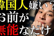 【AKB48】韓国が好きとかアピールしてるメンバーは日本では売れなくなると思う