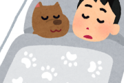 【急募】寝る方法ｗｗｗｗｗ