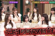矢田萌華ちゃん、オーディションでキレるｗｗｗ【乃木坂46】