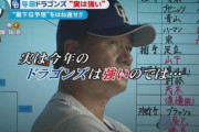 2019プロ野球なんだったのか大賞wwwww