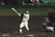 【朗報】糸原さん阪神ファンから許される