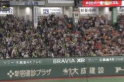 【動画】山田哲人のホームランボールを子供から無理やり奪うオッサンが映って炎上する