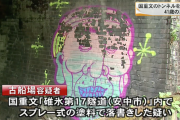 【群馬】重文「旧碓氷峠鉄道施設第１７隧道」に落書き疑い　東京の３０代女性を書類送検　安中署  [Lv★]