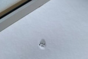 【画像多め】雪の日のネッコさん、コタツで丸くならない…これはラッセルネッコwwww