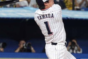 山田哲人(33) 94試合 .221  9本  30打点 3盗塁