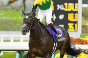 【菊花賞を圧巻逃げ切りV】タイトルホルダー　次走は香港ヴァーズか有馬記念