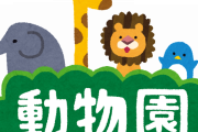 【楽しい】動物園（一日潰せます、1０００円です、静かでデートに最適です）←こいつが流行らないのは？？？