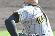 フェニックス・リーグ　阪神岩崎優　1回無失点の好投