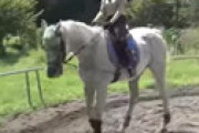 【画像】 女子高生さん、乗馬体験で揺らしてしまう・・