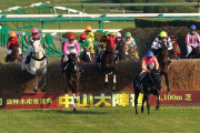 「障害レース」は障がい者を傷つけるから「ジャンプレース」と言うべき。TV競馬中継は猛省すべき。
