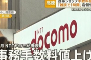 【ドコモ】店頭手数料4950円に…店側悩み「雑談で1時間」ソフトバンクはWEB手数料も値上げ