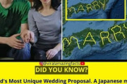 海外「ギネス記録の日本人のユニークなプロポーズを紹介するぜ！」