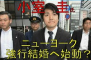 小室圭(学歴S、職業S、ルックスSSR、コミュ力SSR、陽キャ度SSR)→こいつの欠点