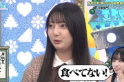 【画像】ズッキの後継者が日向坂46で見つしまう