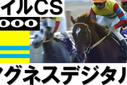 【競馬】アグネスデジタル死す　24歳
