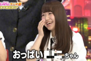 【AKB48G】今までで面白いと思ったメンバーのあだ名を挙げるスレ