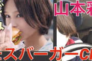 【朗報】山本彩 モスバーガーCMに出演ｗｗｗｗｗｗｗｗｗｗ