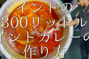 【悲報】インドカレーの宅配頼んだワイ、ナンじゃなくてライスで来て激怒??