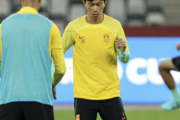 サッカーアジア杯の優勝確率　日本36％　韓国13%　中国0．35％