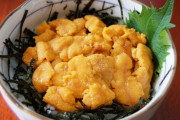 市場人が友人に天然より養殖のウニをすすめる訳