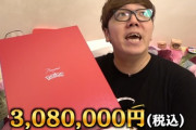 【朗報】HIKAKIN、308万円の「ピカチュウ」を購入するｗｗｗｗ