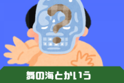 相撲にハマるほど嫌いになる舞の海という謎の存在