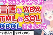 【画像】人気VTuberさん、滅茶苦茶「プログラミング能力」が高いことが判明するｗｗｗｗｗｗ