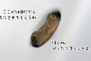 洗面所の排水口から覗いている謎生物の正体は？最後にハッピーエンドが待っていた