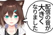【にじさんじ】配信に乗せる音を大きくする方法を知った野良猫、声も大きくなったがBGMまで爆音になりリスナーの鼓膜を破壊する