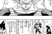 ドラゴンボール｢筋肉が増えればパワーは上がるがスピードが落ちる｣