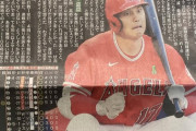 【悲報】大谷翔平さん、とんでもない顔を撮られてしまう