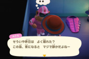 【急募】どうぶつの森のゴリラ女を島から出て行かせる方法ｗｗｗ