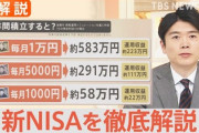 【速報】日証協調査により、新NISAの成績が判明「約70%が収益プラス、積立額は平均47万円」なんだかんだでやっとけば良かった説