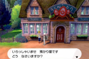 【悲報】完璧主義ワイ、ポケモン買ってからずっと孵化作業しかしてない