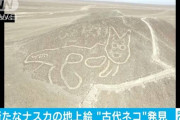【画像】 新たに発見された「ナスカの地上絵」がヘタクソすぎると話題に