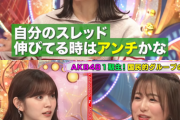 【元AKB48】平嶋夏海「現役の時は２ちゃんねるの自分のスレを毎日監視していた」