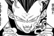破壊神ベジータ我儘の極意